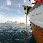 Rorbuer